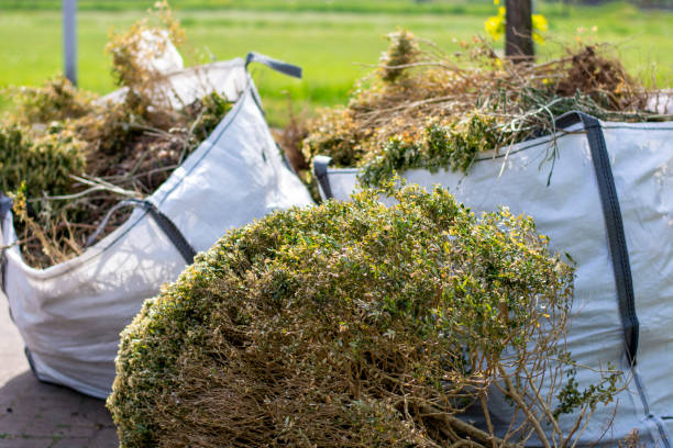 Best Estate Cleanout Services  in Aspinwall, PA